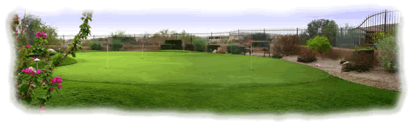 Facts & Foes about Artificial Turf Companies